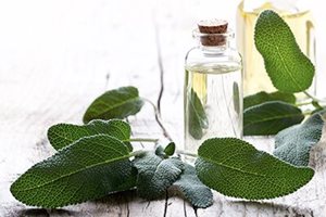 Eingerissene Mundwinkel Behandeln Eucerin