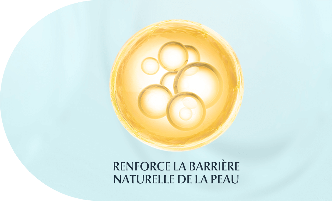 Une balle jaune et de petits cercles à l’intérieur, signifiant que les céramides renforcent la barrière naturelle de la peau
