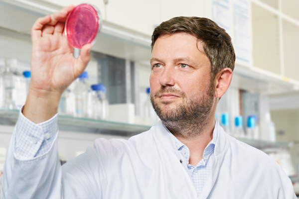 Forscher inspiziert Objektträger