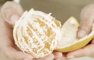 Orangen enthalten viele Vitamine um fettige Haut vorzubeugen