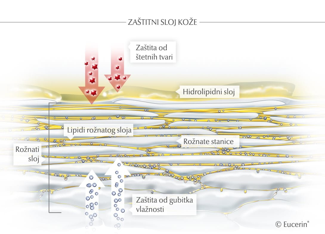 animacija zaštitne barijere kože