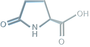 NMFs molecule