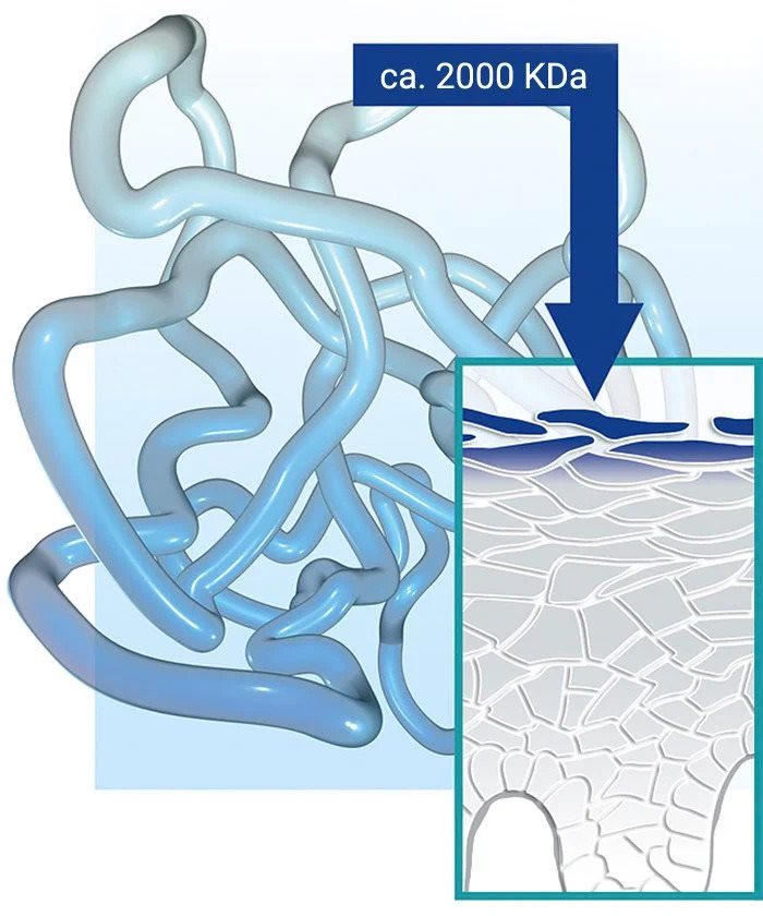 Ácido hialurónico de alto teor molecular
