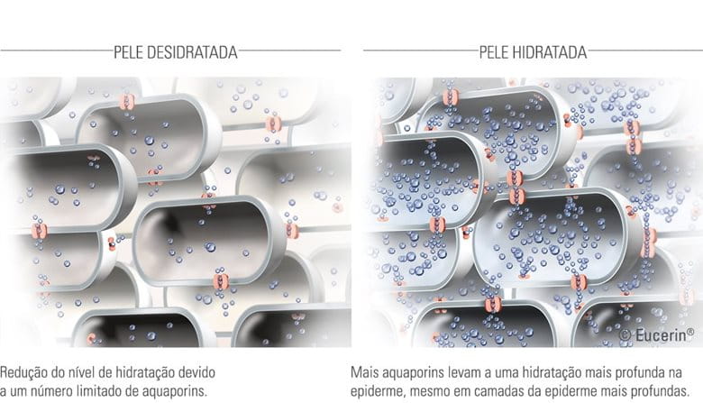 diferenças entre pele desidratada e pele hidratada