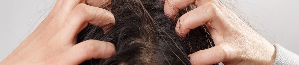 ชันนะตุ