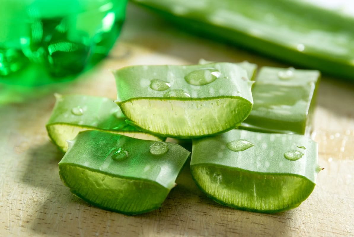 ว่านหางจระเข้