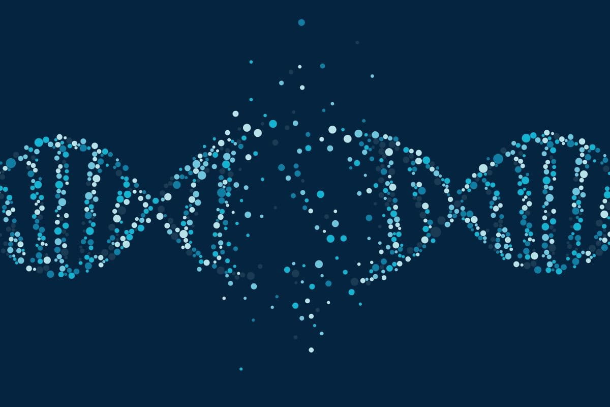 ปัจจัยที่ส่งผลต่อการทำงานของ Epigenetic