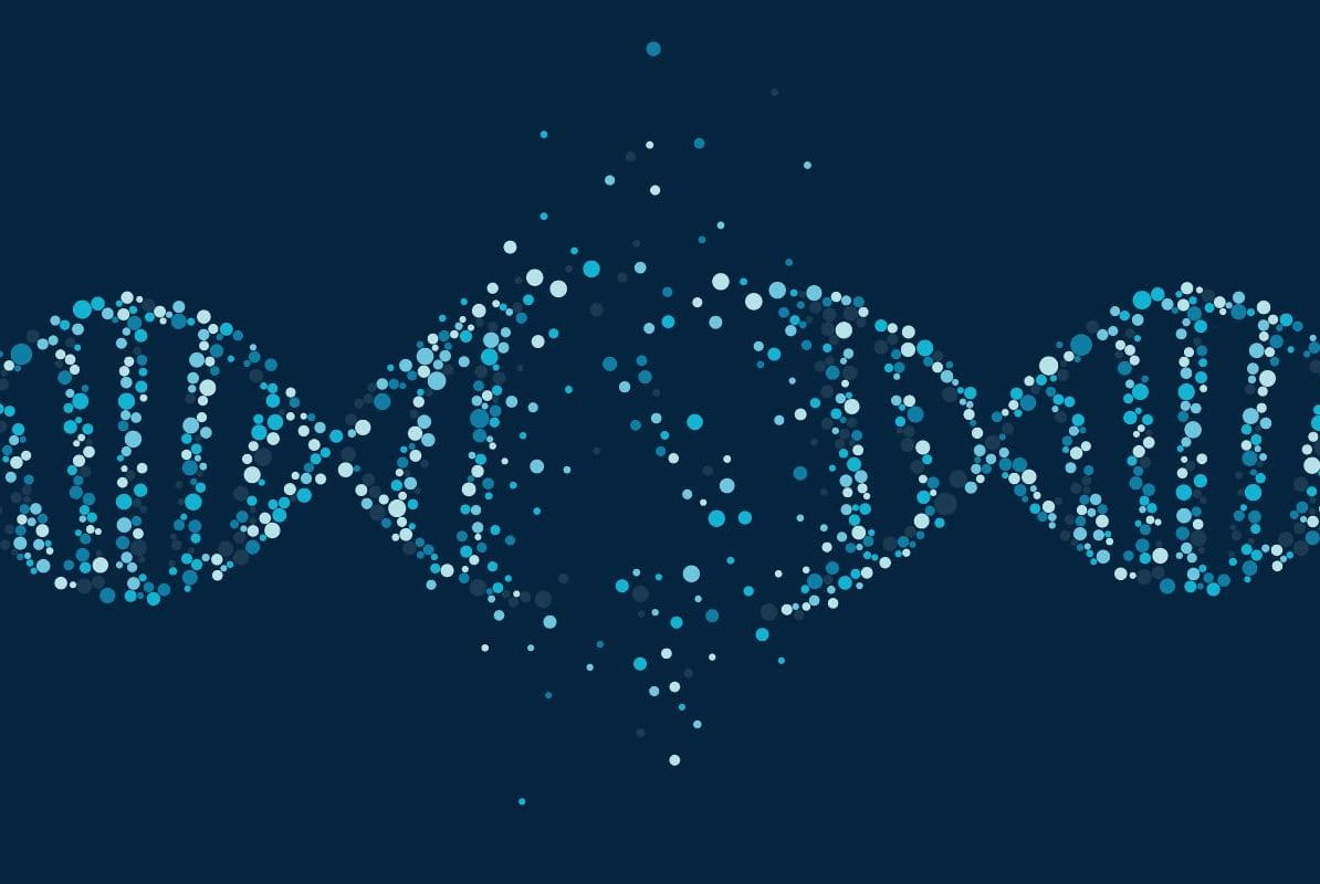 āļāļąāļāļāļąāļĒāļāļĩāđāļŠāđāļāļāļĨāļāđāļāļāļēāļĢāļāļģāļāļēāļāļāļāļ Epigenetic