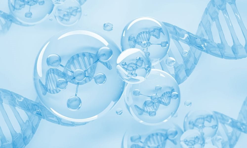 DNA methylation