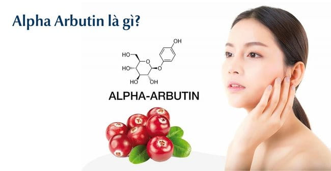 Alpha Arbutin là gì?