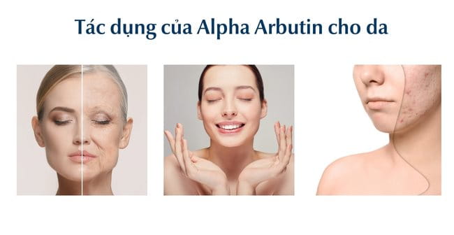 Tác dụng của Alpha Arbutin là gì đối với làn da?