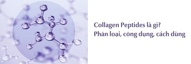 Collagen Peptides là gì?