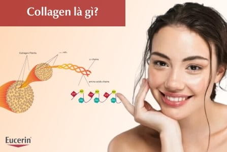 Collagen là gì? Tác dụng của Collagen