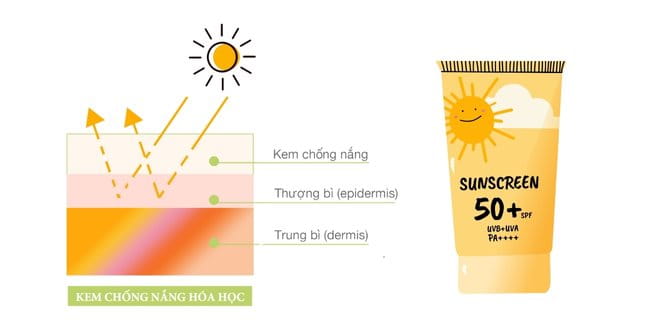 Kem chống nắng hóa học