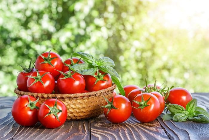 Cà chua có nhiều vitamin có lợi cho việc điều trị nám (Nguồn: Internet)