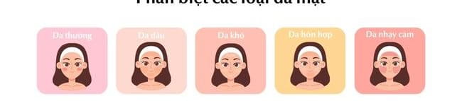 Phân biệt các loại da đúng cách