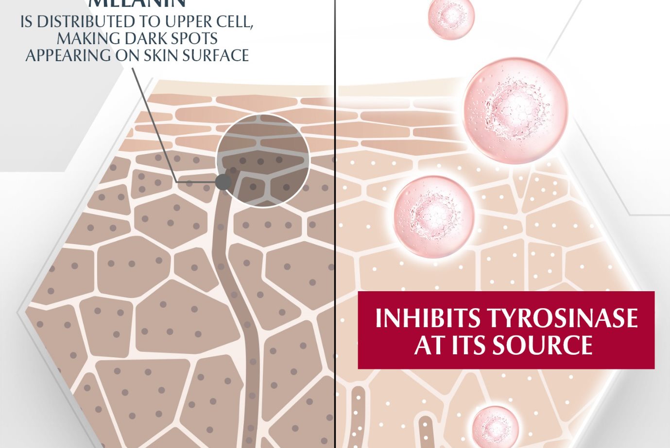 dược mỹ phẩm trị nám