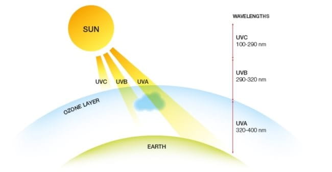 Các loại tia UV