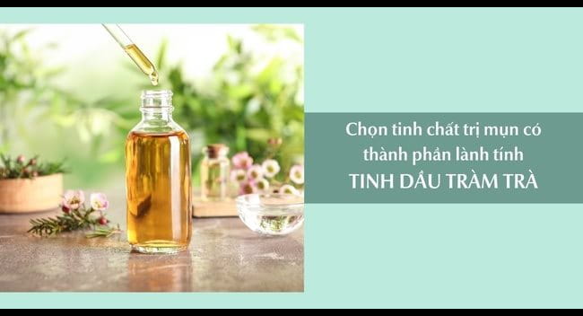Tinh dầu tràm trà và tinh chất trà xanh là 2 loại tinh chất trị mụn hữu hiệu có thành phần từ thiên nhiên