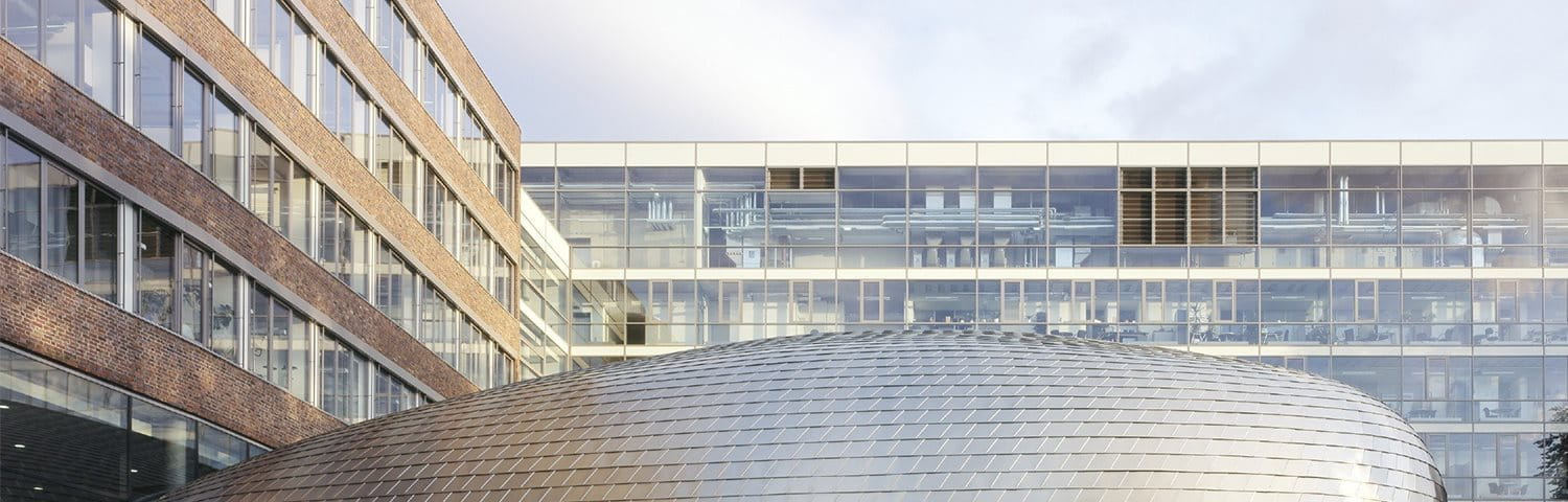 Tutustu meihin: Hansaplast tuotemerkkinä