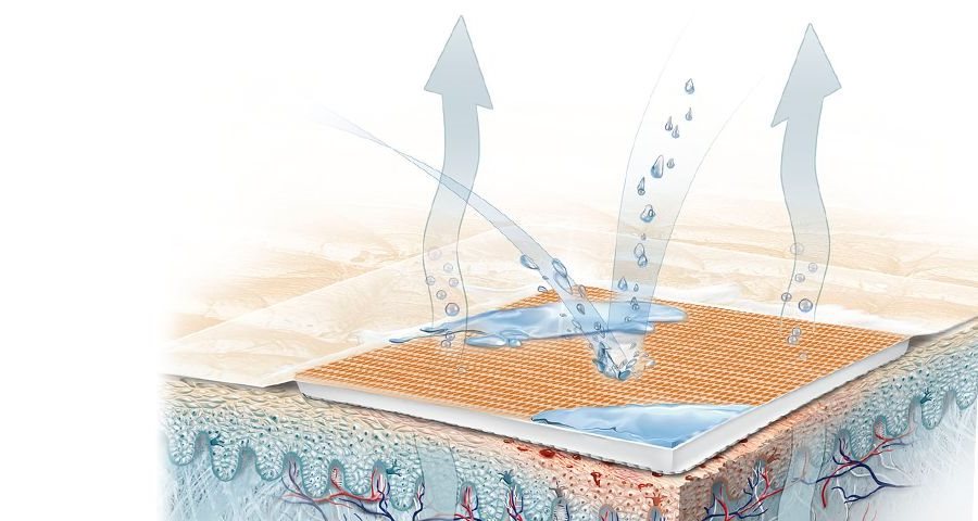 Illustration of Aqua Protect Plaster