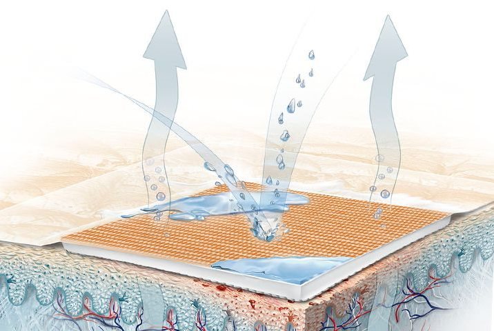 Illustration of Aqua Protect Plaster