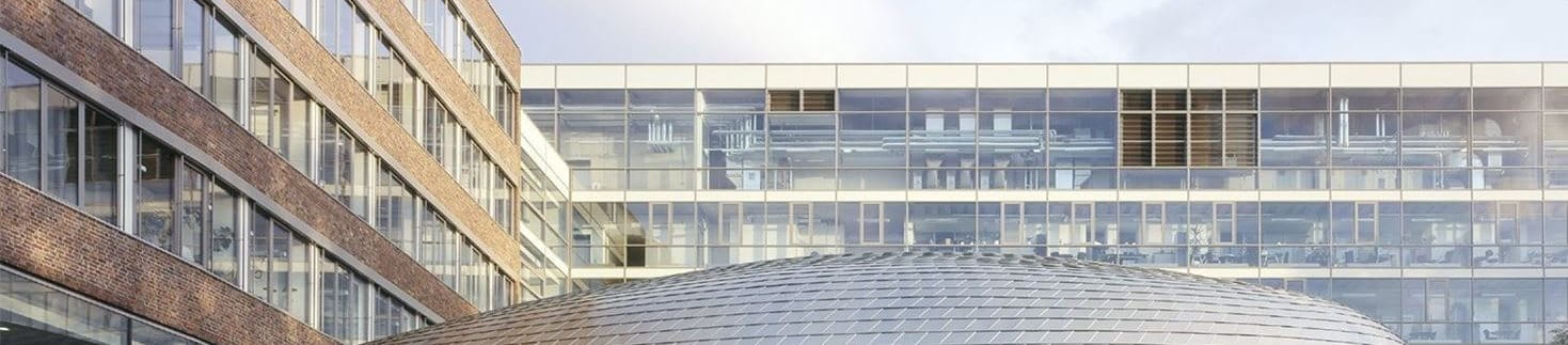 Smaller image of website on laptop - Elastoplast