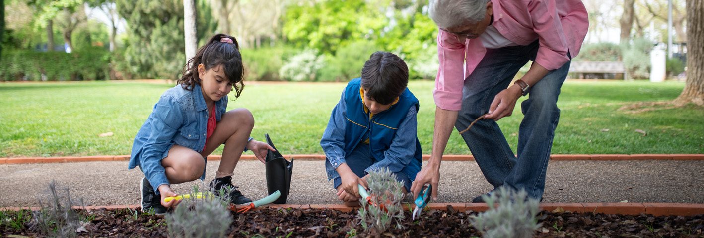 nueve-consejos-para-cuidar-tu-jardín-sin-dolor-de-espalda