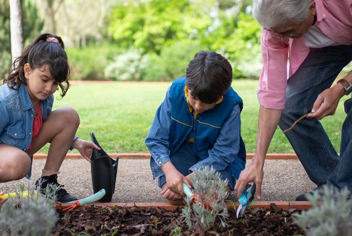 nueve-consejos-para-cuidar-tu-jardín-sin-dolor-de-espalda