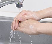 Gently Clean the wound