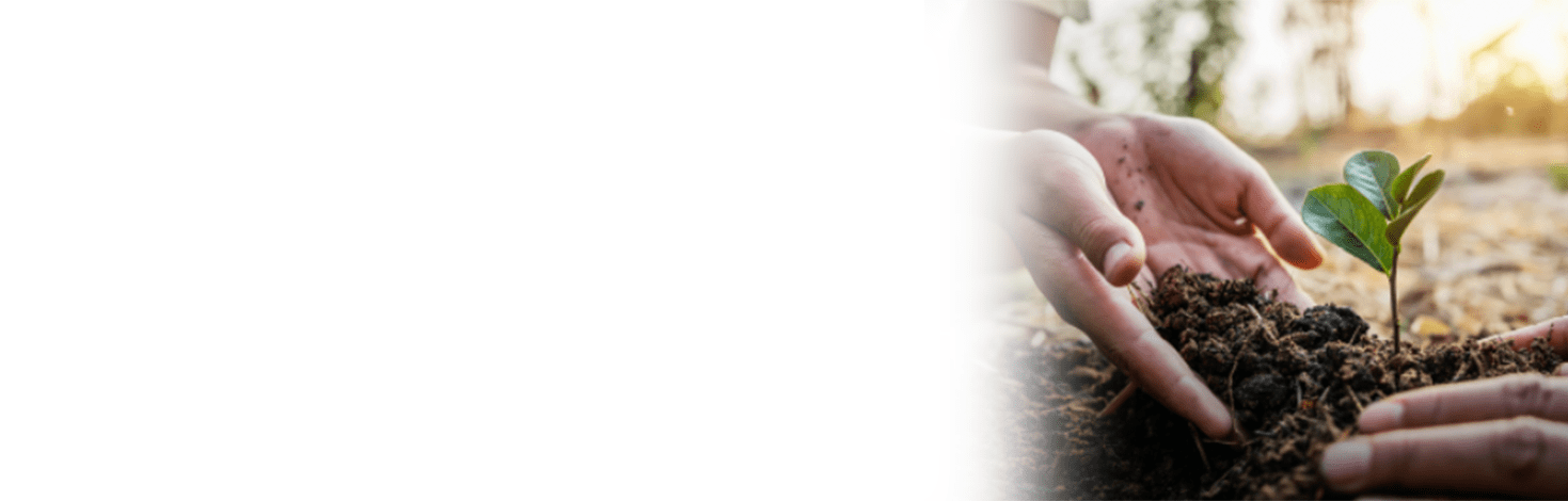 Des mains versent de la terre dans l'herbe