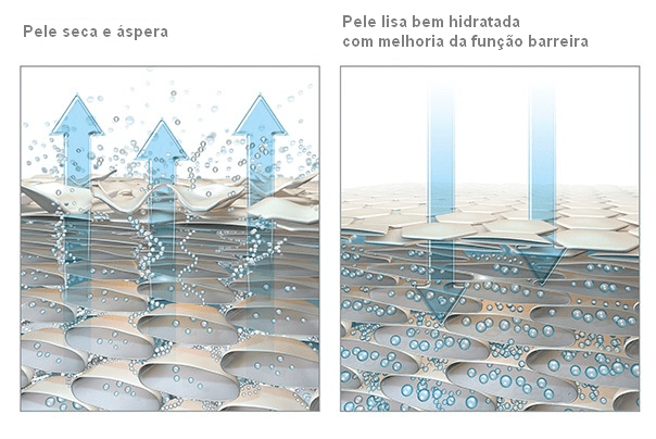 creme-pes-regenerador