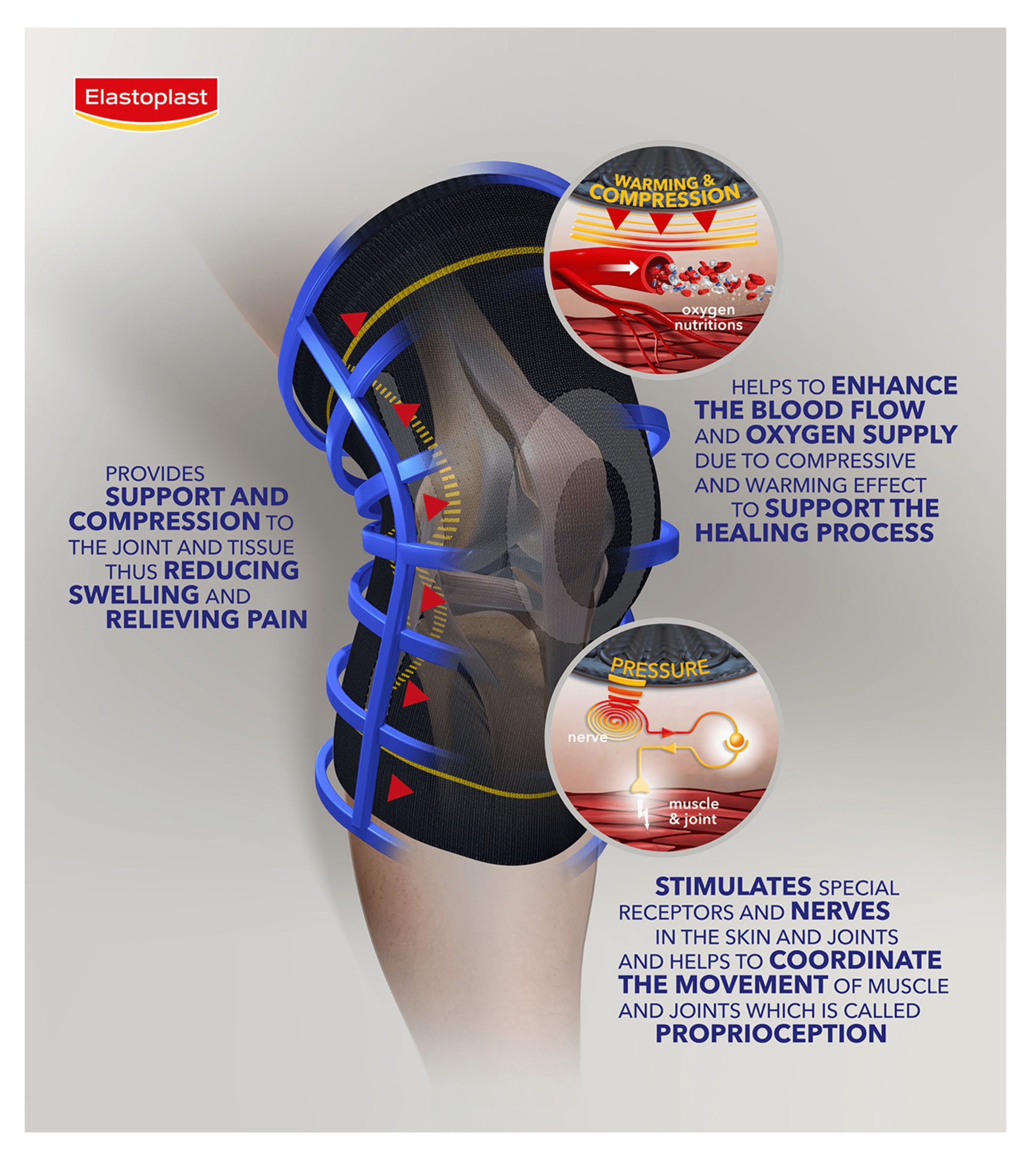 knee support