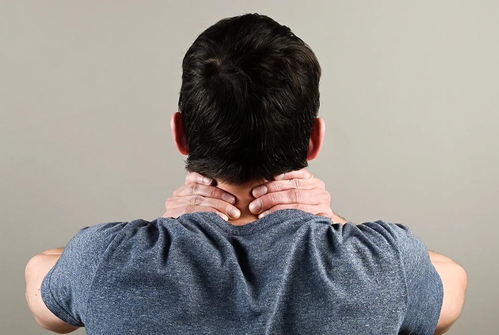 Apa saja fakta koyo yang perlu diketahui?