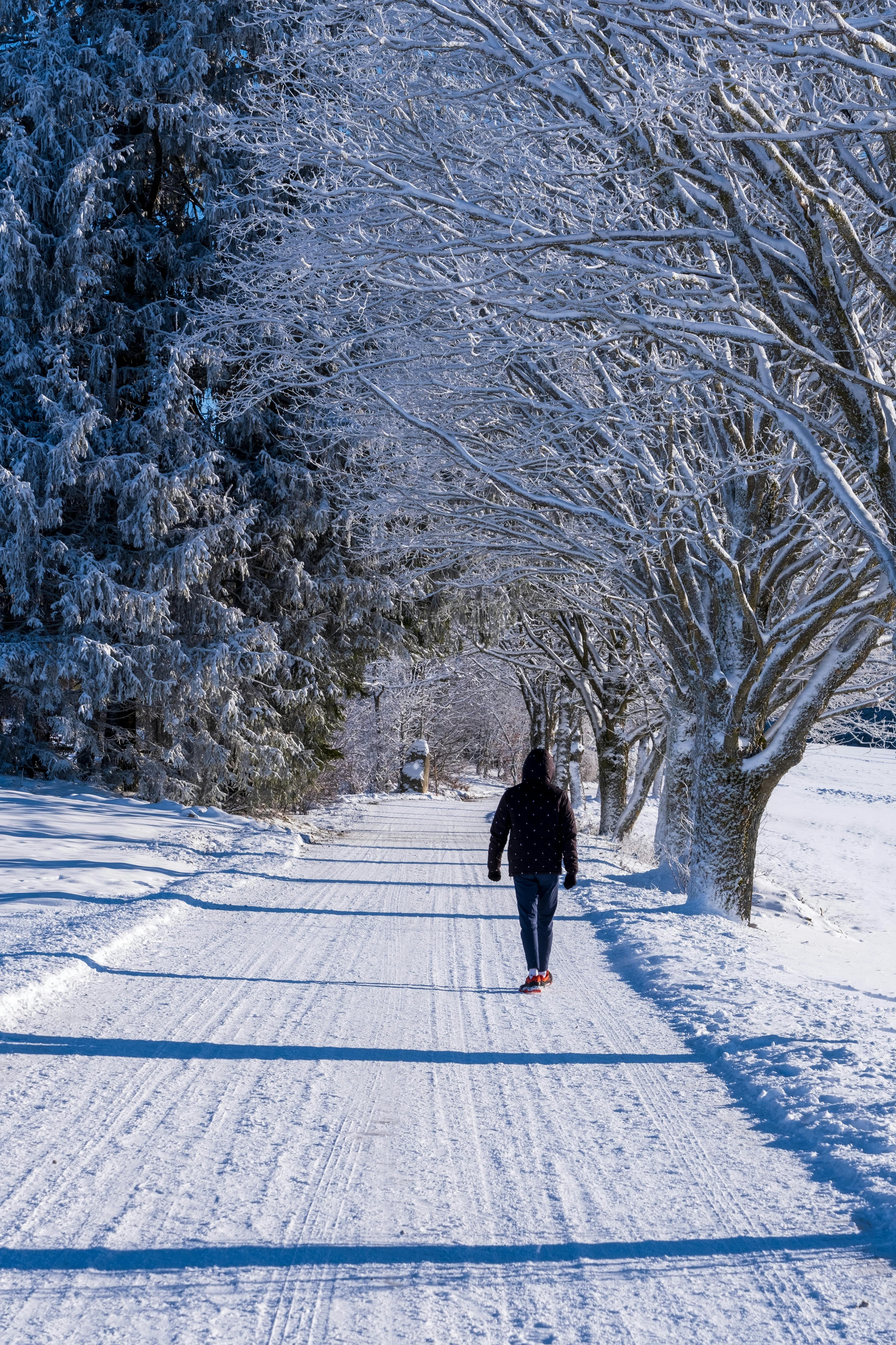 EIn Mann der in einer verschneiten Winterlandschaft spazieren geht.